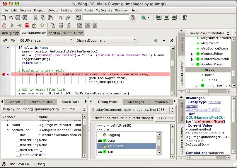 Wing IDE Personal screenshot